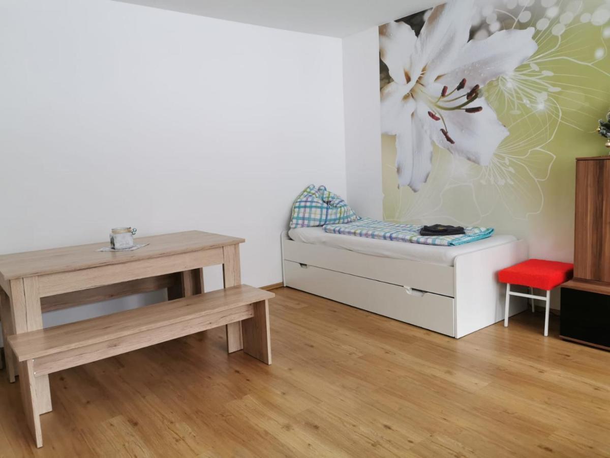 Apartment Fewo Irdning Pichlarn Aigen im Ennstal Exteriör bild