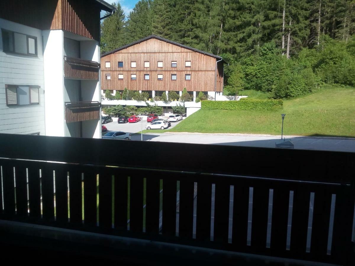 Apartment Fewo Irdning Pichlarn Aigen im Ennstal Exteriör bild